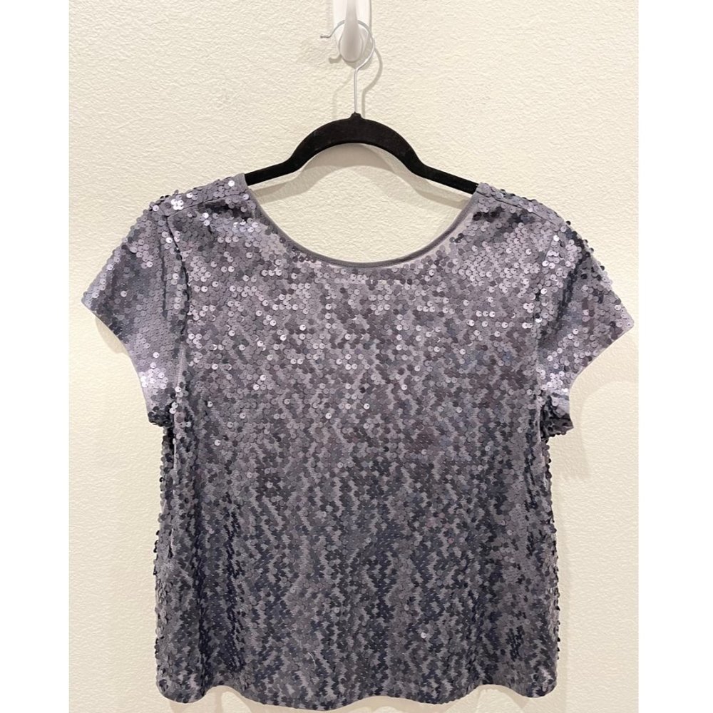 EXPRESS Grey Sequin Short Sleeve Blouse